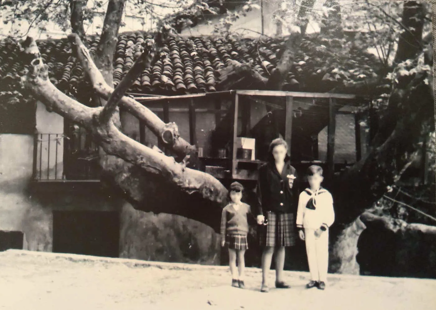 013 arbolagaña - tres niños - comunion