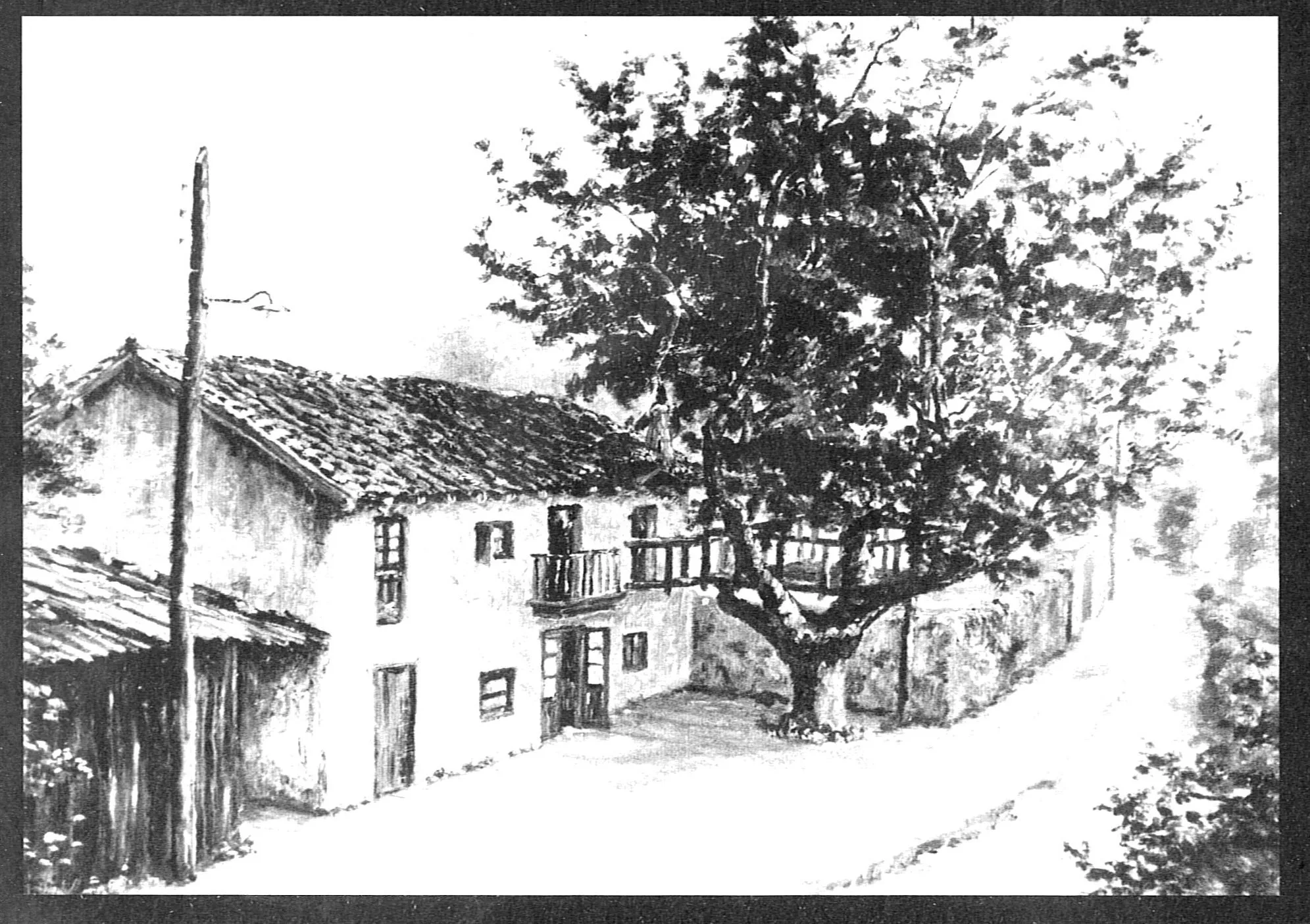 014 arbolagaina - Aldecoak eginda - Nikol Viar