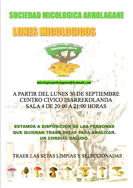 2013 lunes micologicos