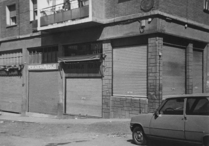 Benidorm arbola