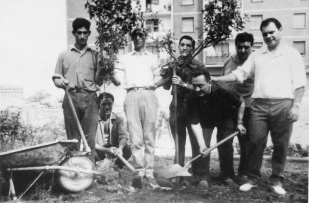 benidorm Auzolana 2 _ Ibarrekolandako Argazki Elkartearen argazkia