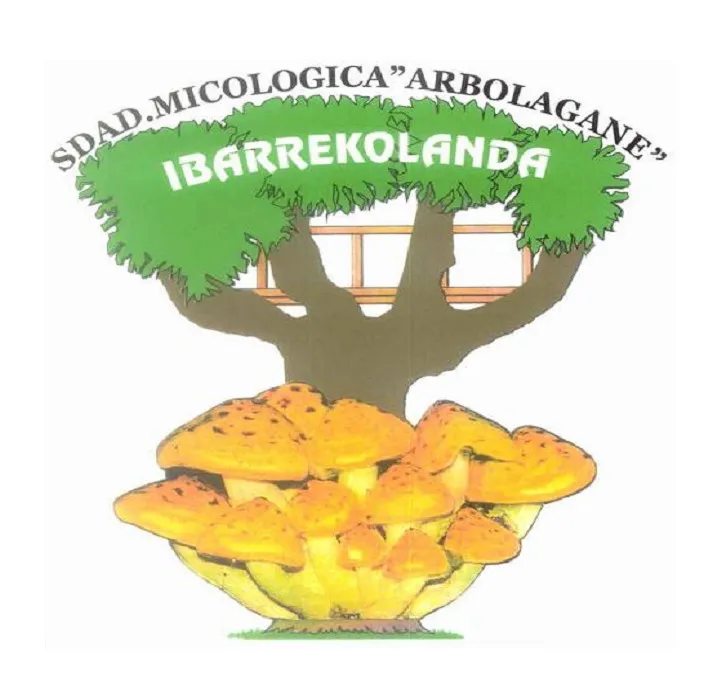C3.22 Micologica web