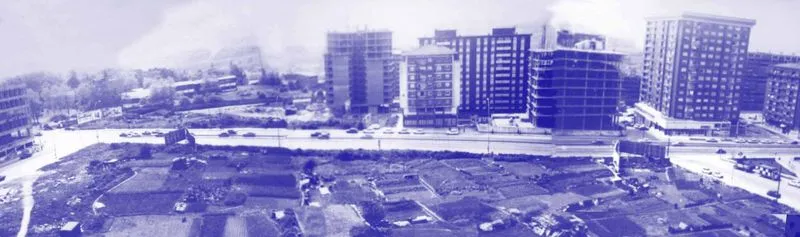 Helguera Avenida