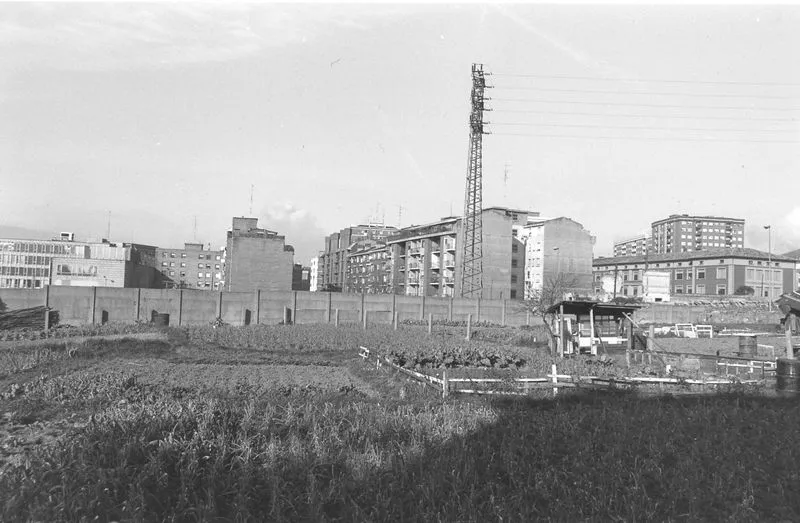 Ibarrekolanda laubidetik 1980, Txema Juanesen Argazkia