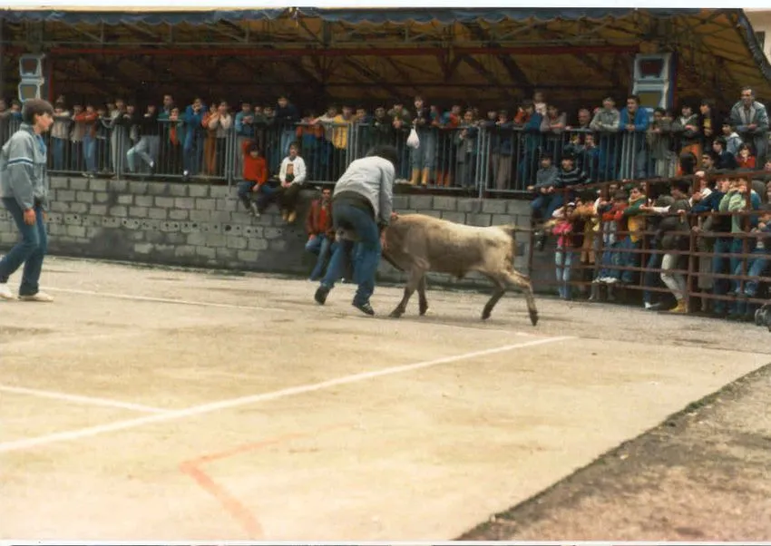 Instituto fiesta 16 _ Ibarrekolanda BHIren argazkia