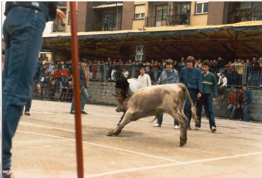 Instituto fiesta 17 _ Ibarrekolanda BHIren argazkia