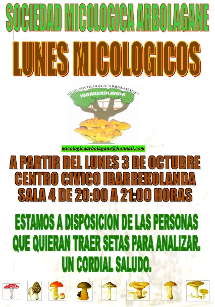 lunes micologicos