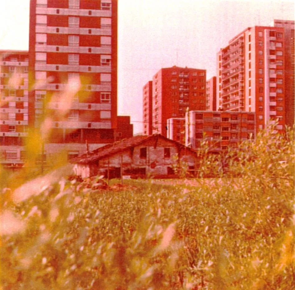 susunse 2 _ Mº Carmen Calvoren argazkia