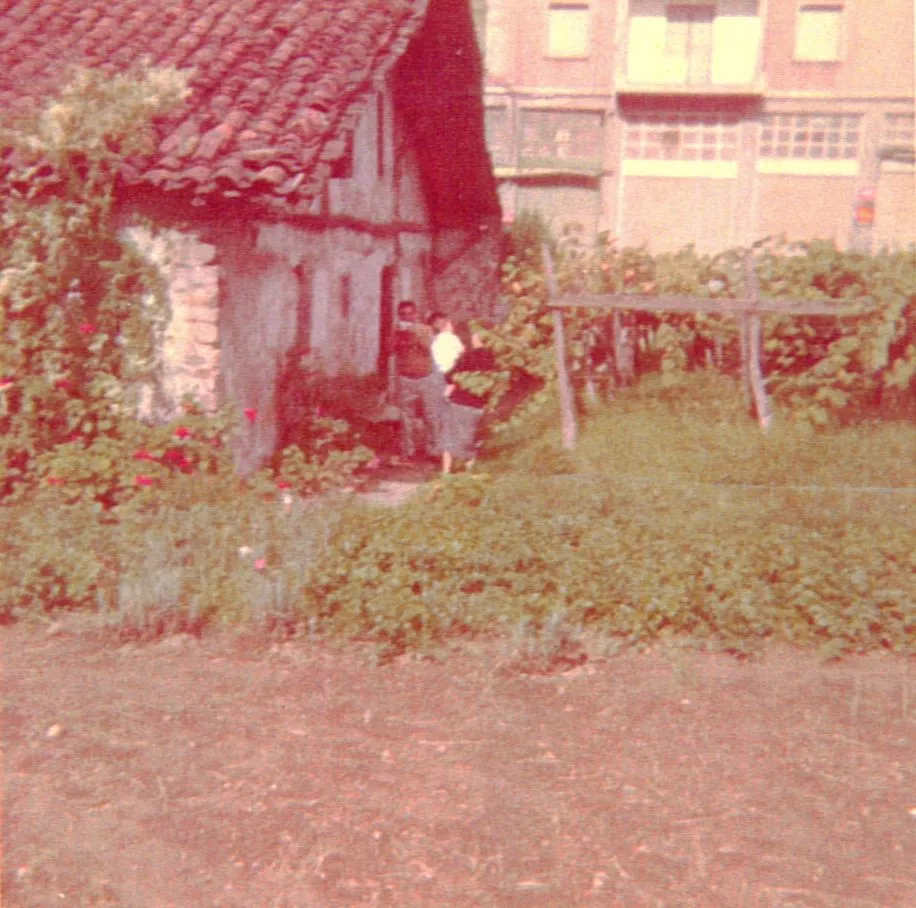 susunse 3 _ Mº Carmen Calvoren argazkia