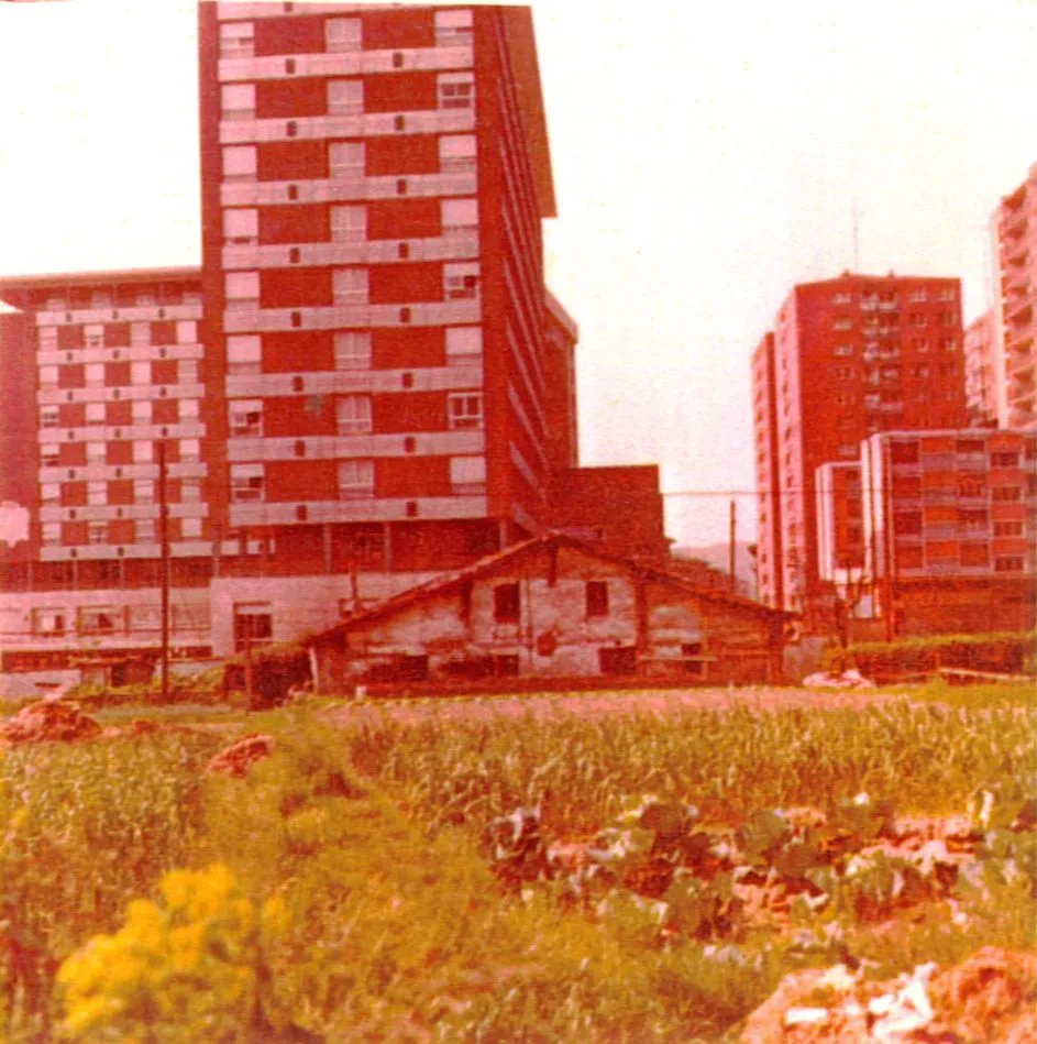 susunse 4_ Mº Carmen Calvoren argazkia