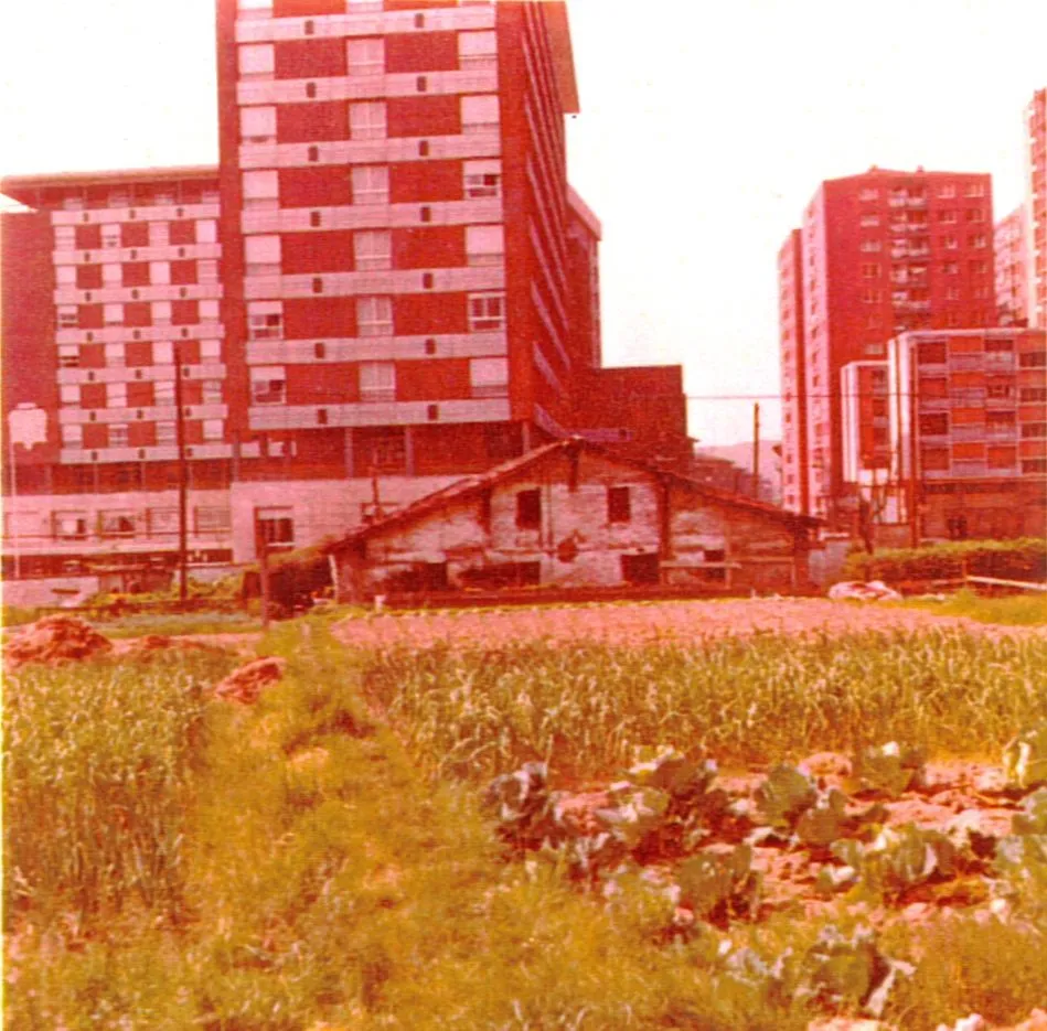 susunse _ Mº Carmen Calvoren argazkia