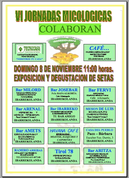 VI Jornadas micologicas